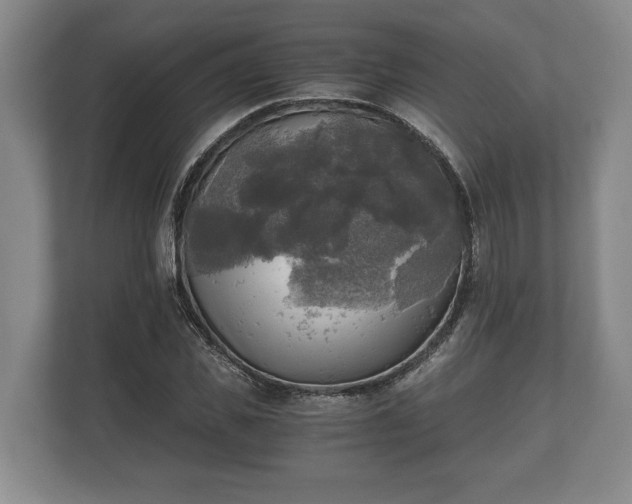 X0000110320925200905281629