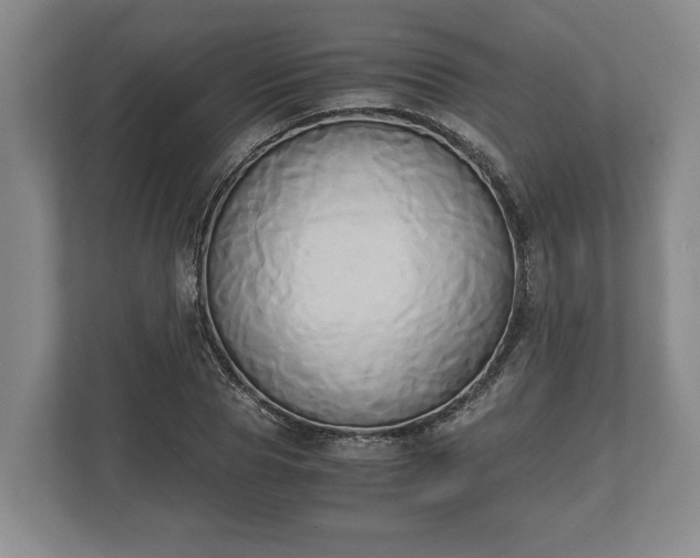 X0000110320929200905281629