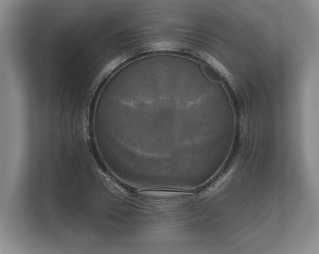 X0000110320930200905281629