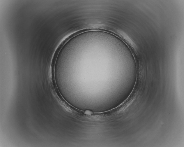 X0000110320932200905281630