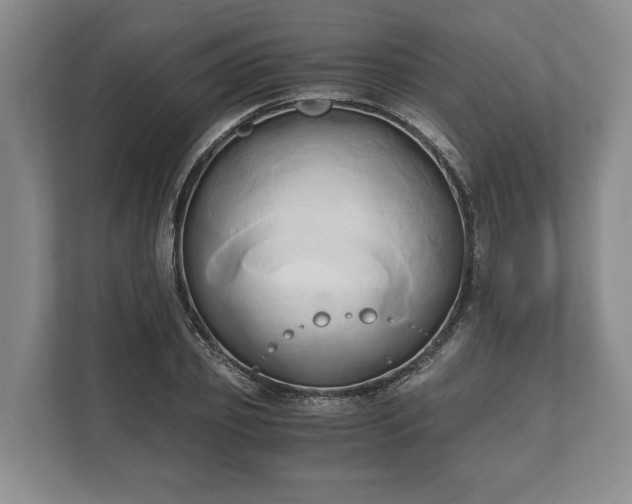 X0000110320933200905281630