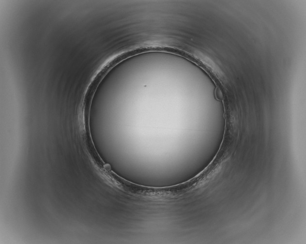 X0000110320934200905281630