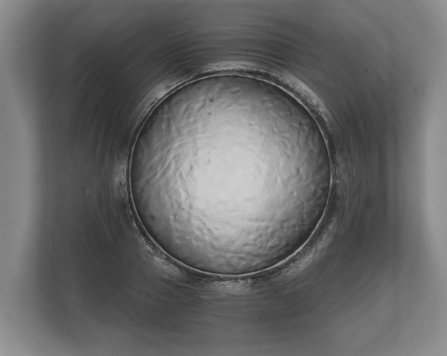 X0000110320937200905281630