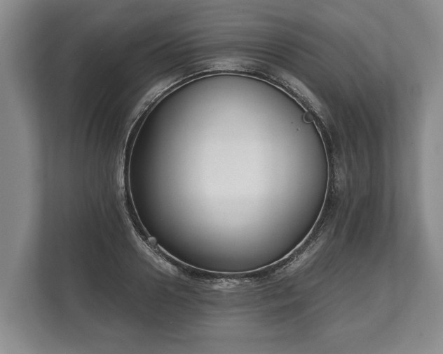 X0000110320938200905281630