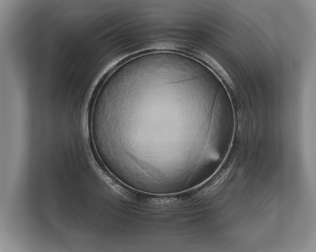 X0000110320939200905281630