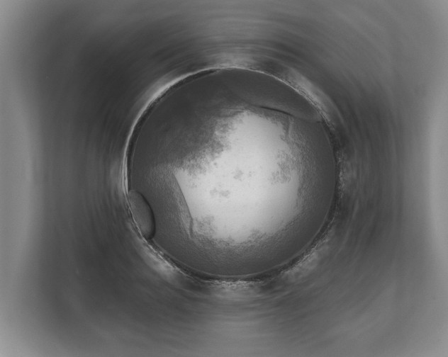 X0000110320940200905281630