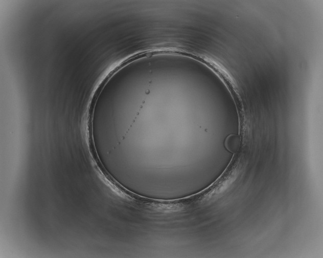 X0000110320941200905281630