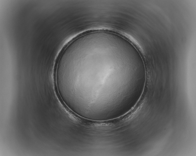 X0000110320943200905281630