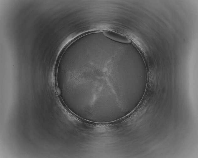 X0000110320944200905281630