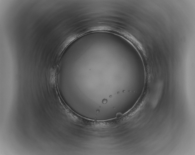 X0000110320945200905281630