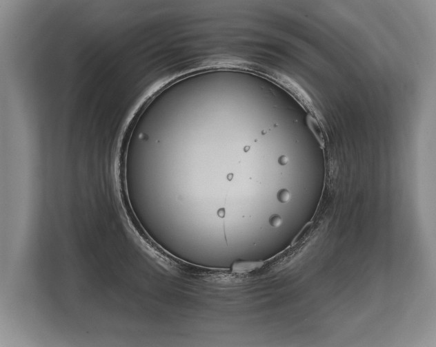 X0000110320947200905281630