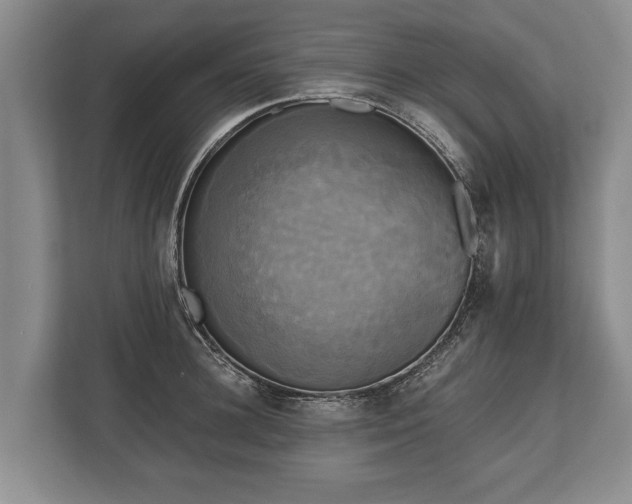 X0000110320948200905281630