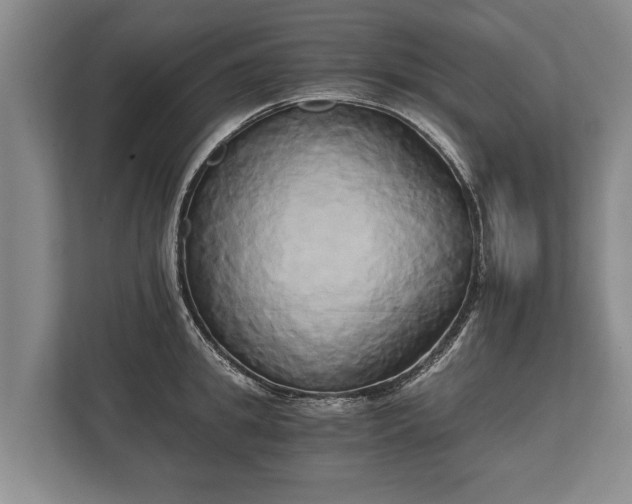 X0000110320949200905281630