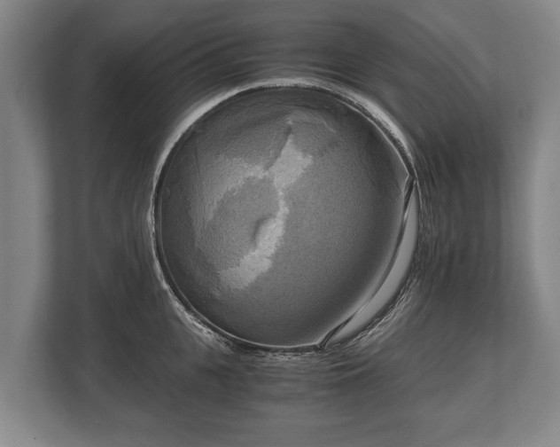 X0000110320951200905281630