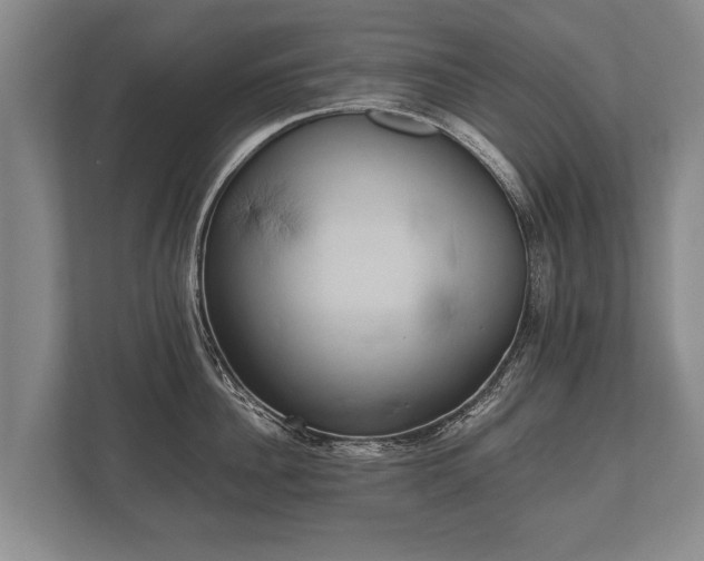 X0000110320956200905281630