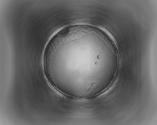 X0000110320957200905281630