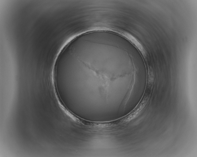 X0000110320958200905281630