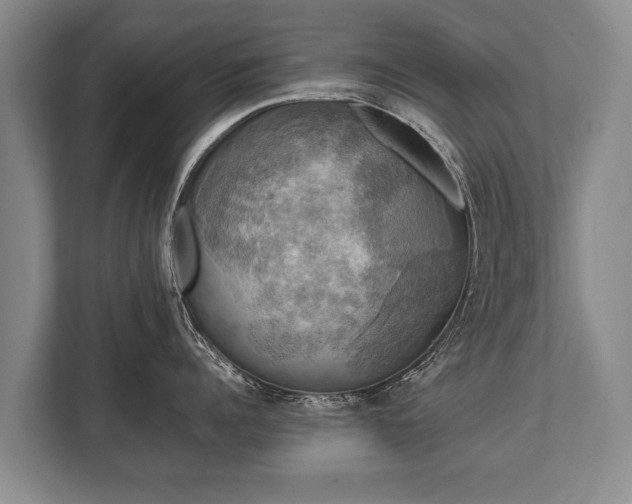 X0000110320960200905281630