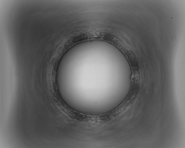 X0000110320961200905281629