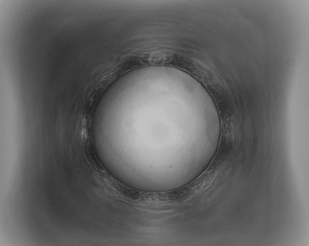 X0000110320962200905281629