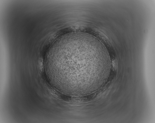 X0000110320963200905281629