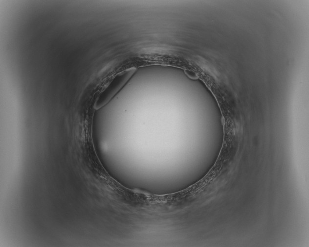 X0000110320965200905281629