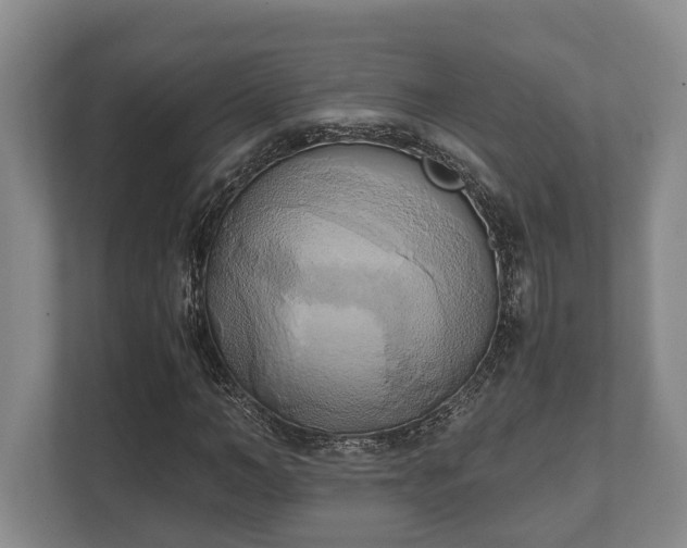 X0000110320966200905281629