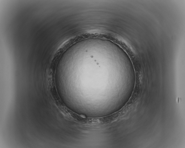 X0000110320968200905281629