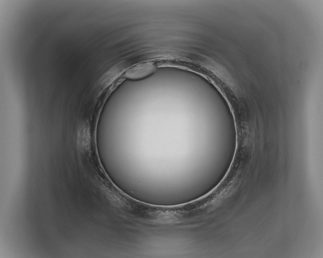 X0000110320969200905281629