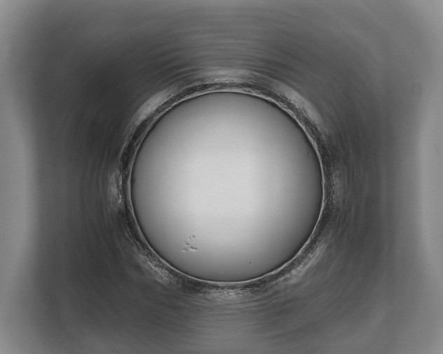 X0000110320970200905281629