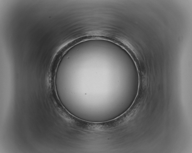 X0000110320971200905281629