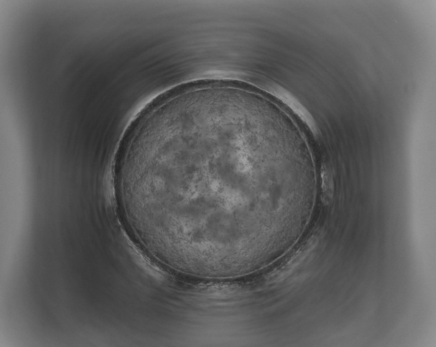 X0000110320972200905281629