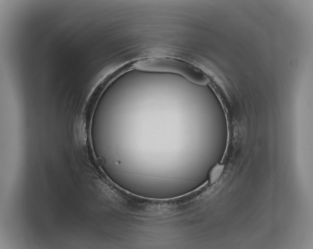 X0000110320973200905281629