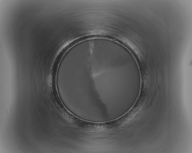 X0000110320975200905281629