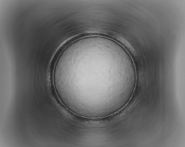 X0000110320976200905281629