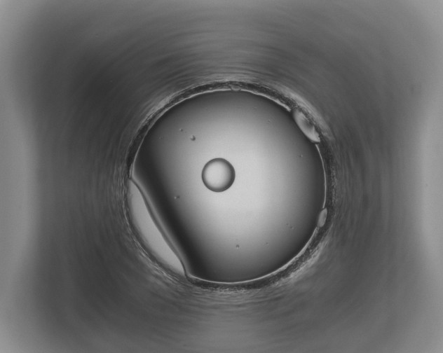 X0000110320977200905281629