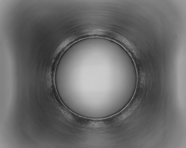 X0000110320978200905281629