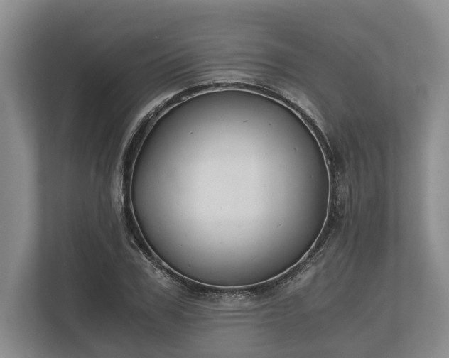 X0000110320979200905281629