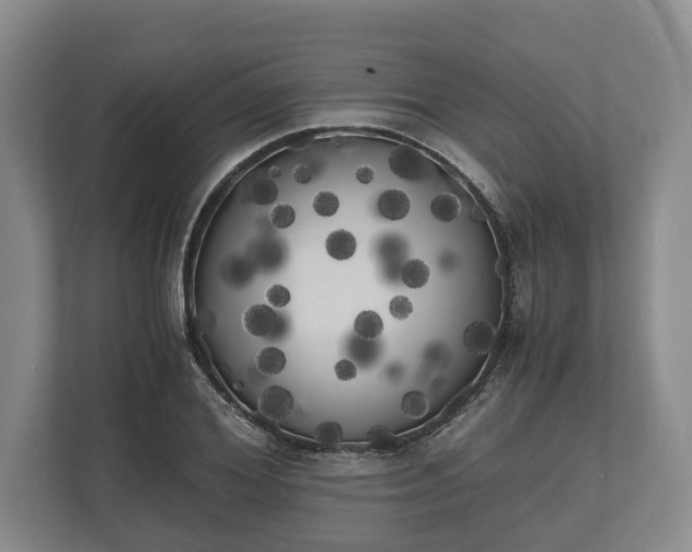 X0000110320980200905281629