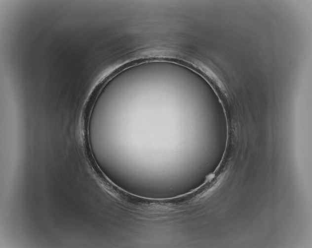 X0000110320981200905281629