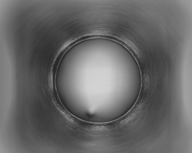 X0000110320982200905281629