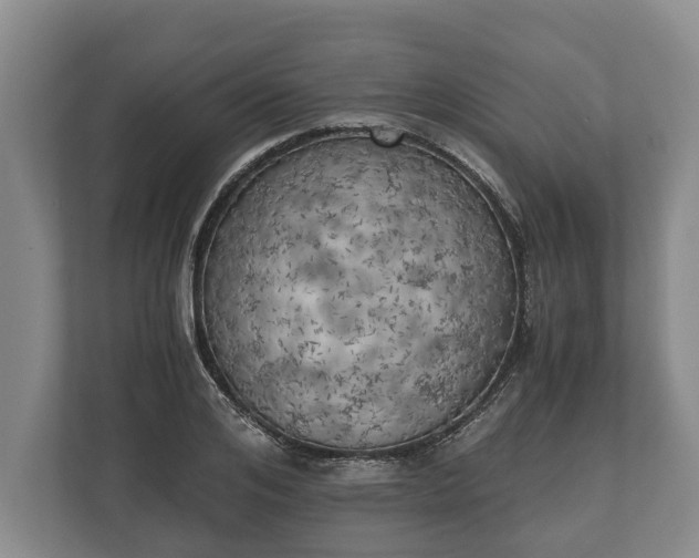X0000110320984200905281629
