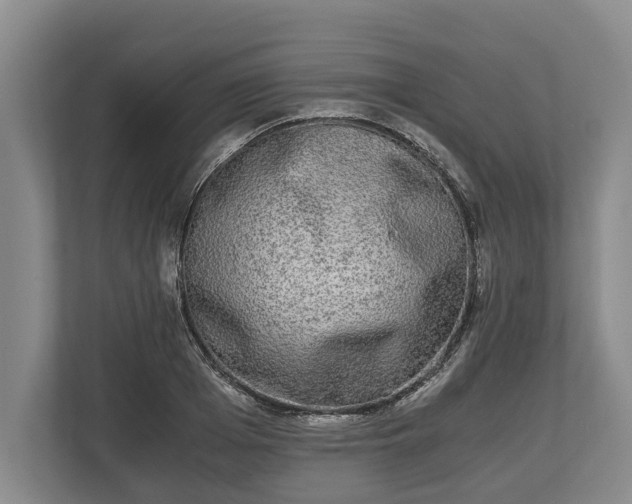 X0000110320985200905281629