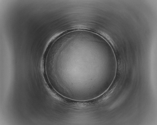 X0000110320987200905281629