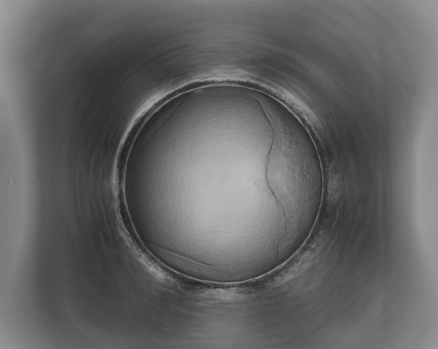 X0000110320990200905281629