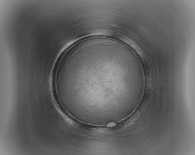 X0000110320991200905281629