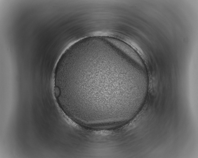 X0000110320992200905281629