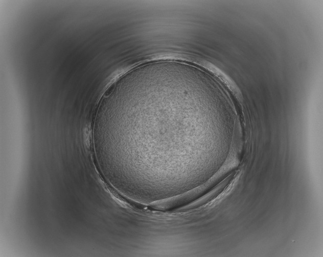 X0000110320993200905281629