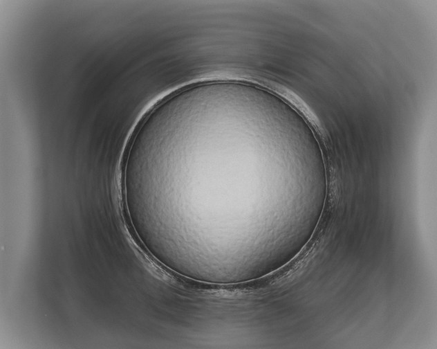 X0000110320996200905281629