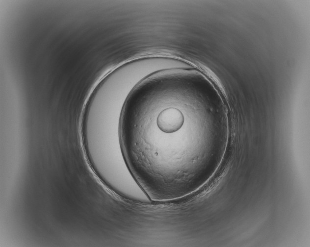 X0000110320997200905281629